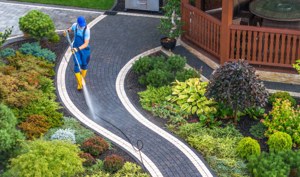 Best Local Pressure Washing Services  in Duncan, OK